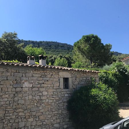 Studio Pic St Loup Valflaunes Екстер'єр фото